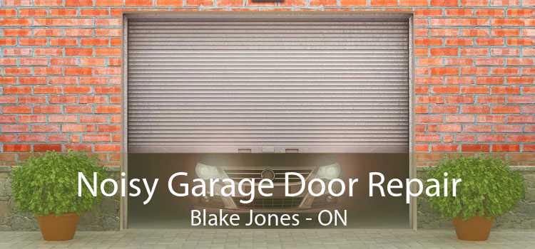 Noisy Garage Door Repair Blake Jones - ON