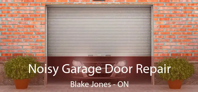  Noisy Garage Door Repair Blake Jones - ON