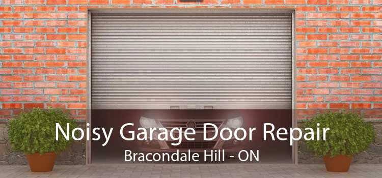 Noisy Garage Door Repair Bracondale Hill - ON