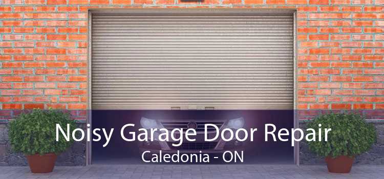 Noisy Garage Door Repair Caledonia - ON