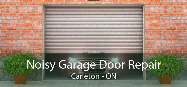 Noisy Garage Door Repair Carleton - ON