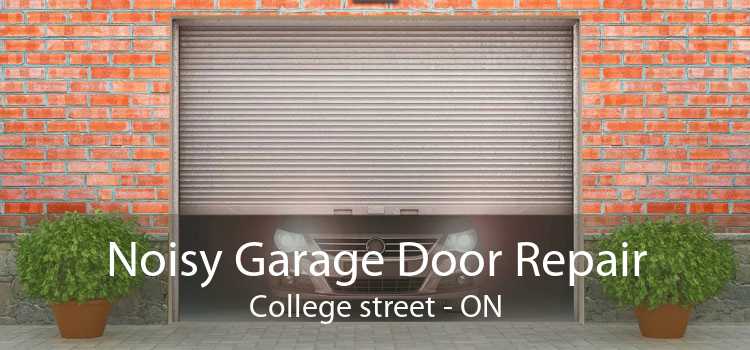 Noisy Garage Door Repair College street - ON