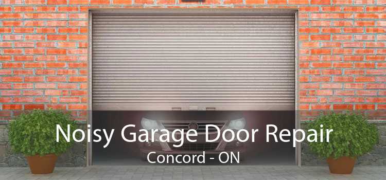 Noisy Garage Door Repair Concord - ON