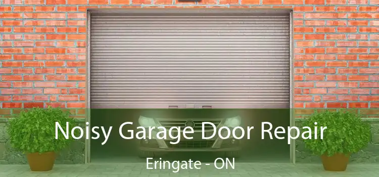  Noisy Garage Door Repair Eringate - ON