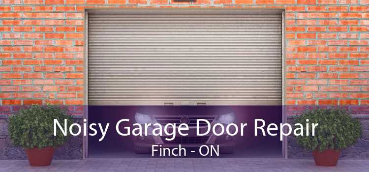 Noisy Garage Door Repair Finch - ON