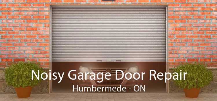 Noisy Garage Door Repair Humbermede - ON