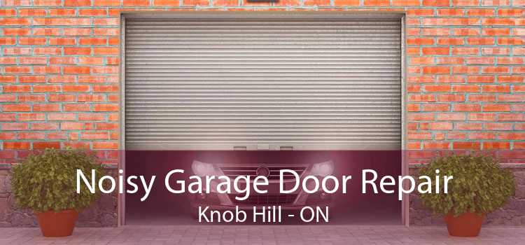 Noisy Garage Door Repair Knob Hill - ON