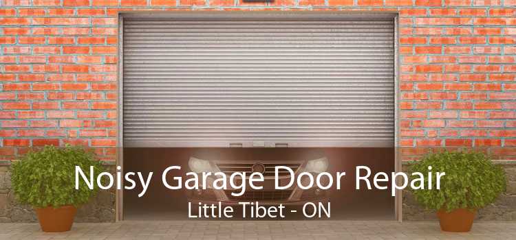 Noisy Garage Door Repair Little Tibet - ON