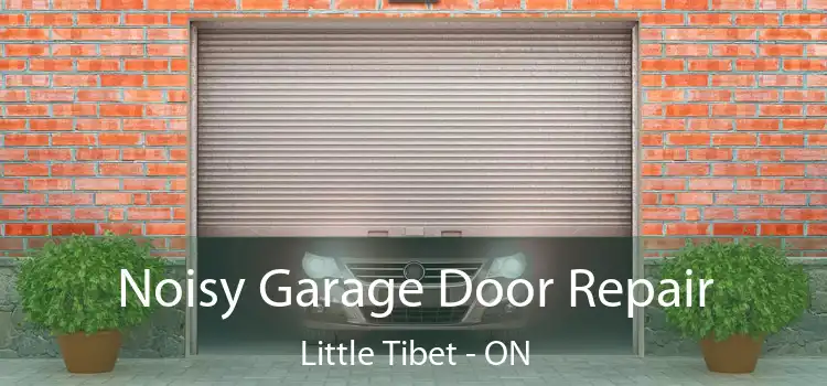  Noisy Garage Door Repair Little Tibet - ON