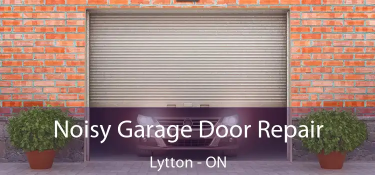  Noisy Garage Door Repair Lytton - ON