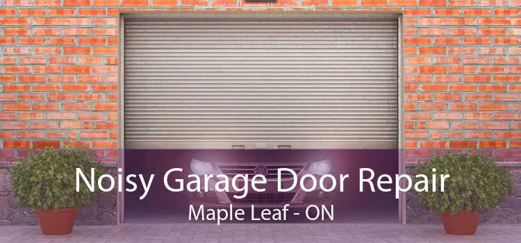 Noisy Garage Door Repair Maple Leaf - ON