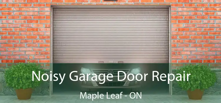  Noisy Garage Door Repair Maple Leaf - ON