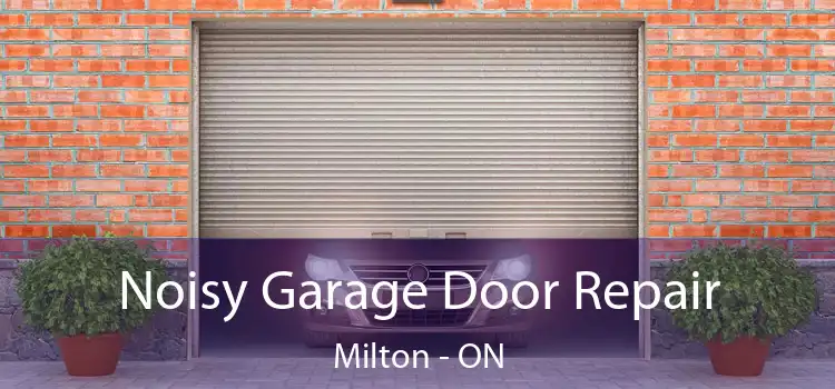  Noisy Garage Door Repair Milton - ON