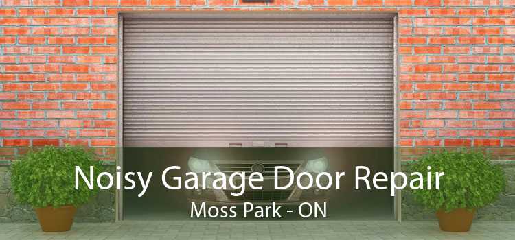 Noisy Garage Door Repair Moss Park - ON