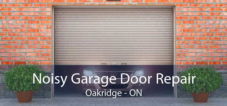 Noisy Garage Door Repair Oakridge - ON