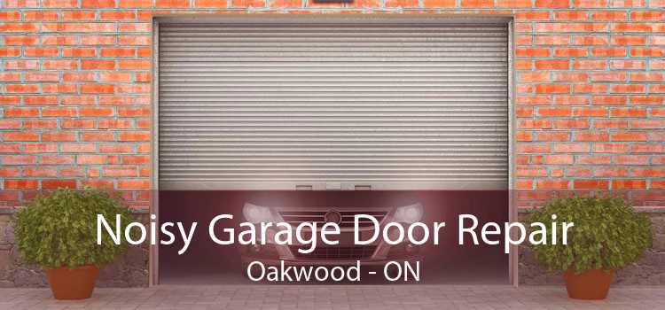 Noisy Garage Door Repair Oakwood - ON
