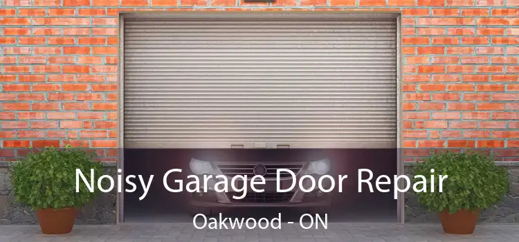  Noisy Garage Door Repair Oakwood - ON