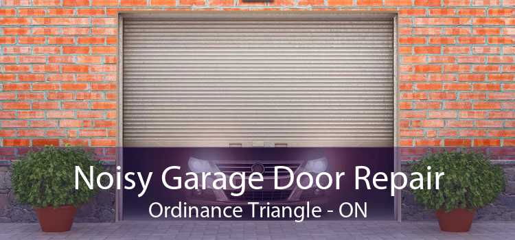 Noisy Garage Door Repair Ordinance Triangle - ON