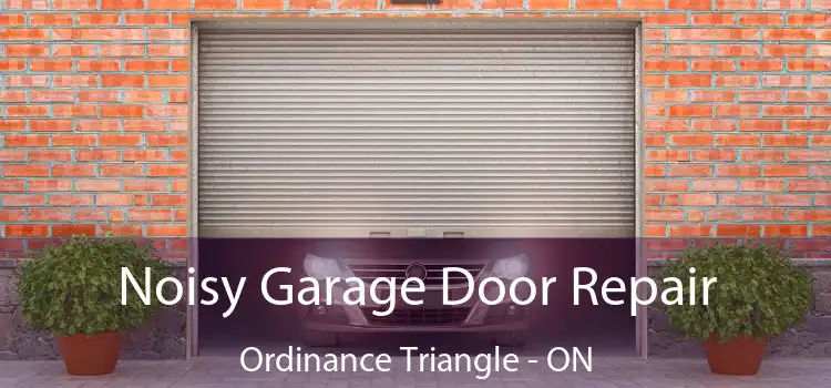  Noisy Garage Door Repair Ordinance Triangle - ON