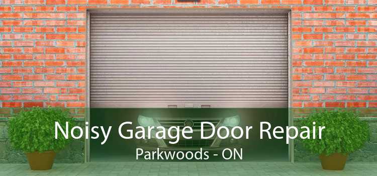 Noisy Garage Door Repair Parkwoods - ON