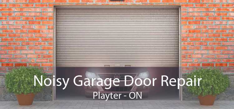 Noisy Garage Door Repair Playter - ON