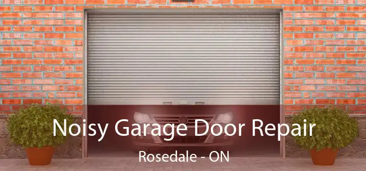  Noisy Garage Door Repair Rosedale - ON