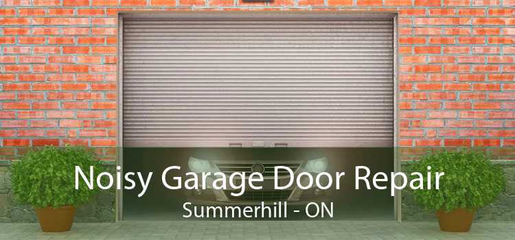 Noisy Garage Door Repair Summerhill - ON