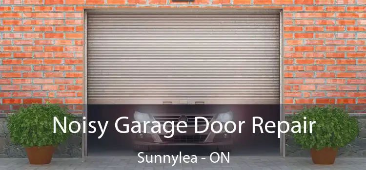 Noisy Garage Door Repair Sunnylea - ON