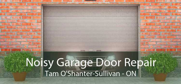 Noisy Garage Door Repair Tam O'Shanter-Sullivan - ON