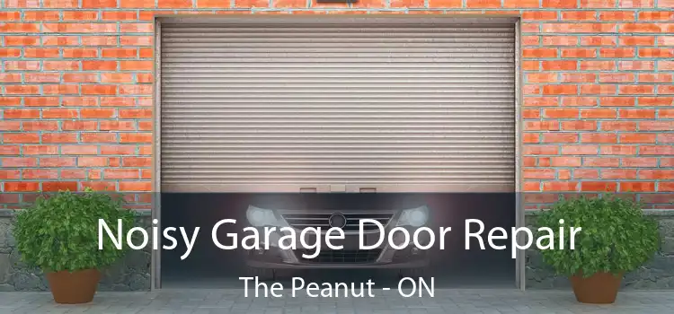  Noisy Garage Door Repair The Peanut - ON
