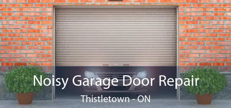  Noisy Garage Door Repair Thistletown - ON