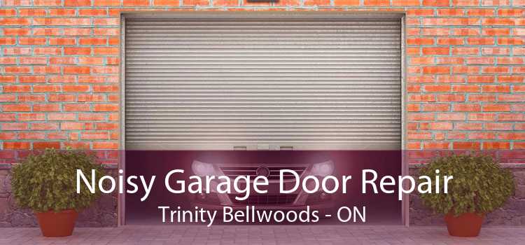 Noisy Garage Door Repair Trinity Bellwoods - ON