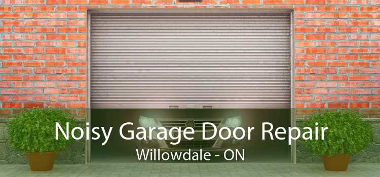 Noisy Garage Door Repair Willowdale - ON