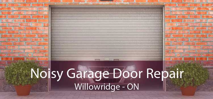 Noisy Garage Door Repair Willowridge - ON