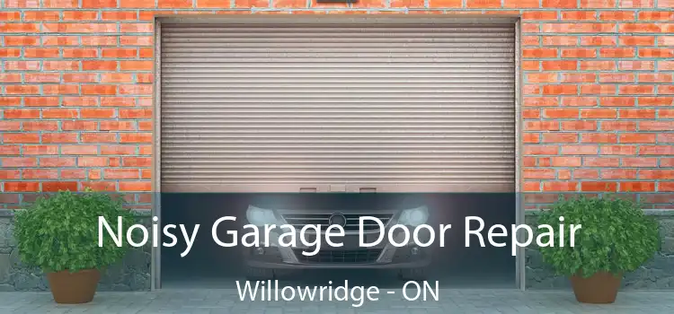  Noisy Garage Door Repair Willowridge - ON