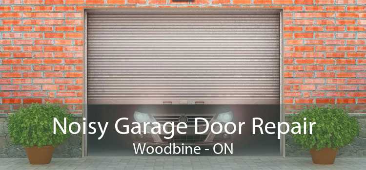 Noisy Garage Door Repair Woodbine - ON