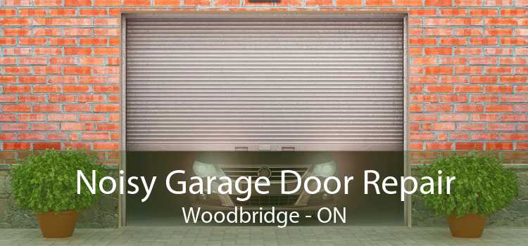 Noisy Garage Door Repair Woodbridge - ON