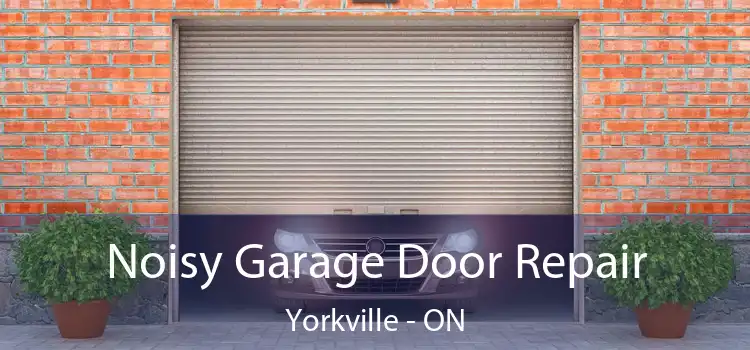  Noisy Garage Door Repair Yorkville - ON