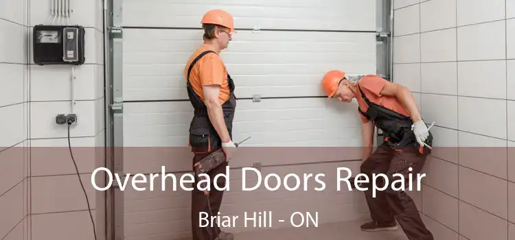  Overhead Doors Repair Briar Hill - ON