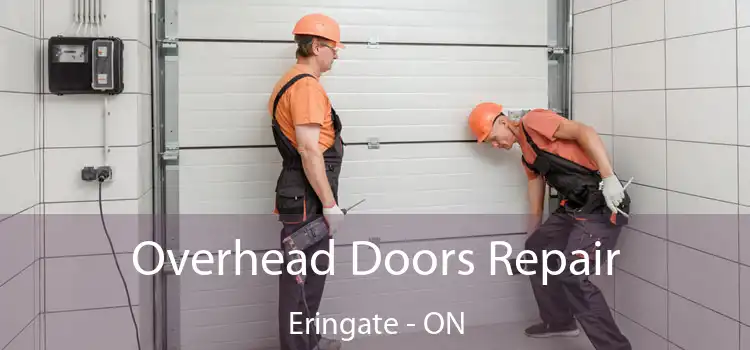  Overhead Doors Repair Eringate - ON