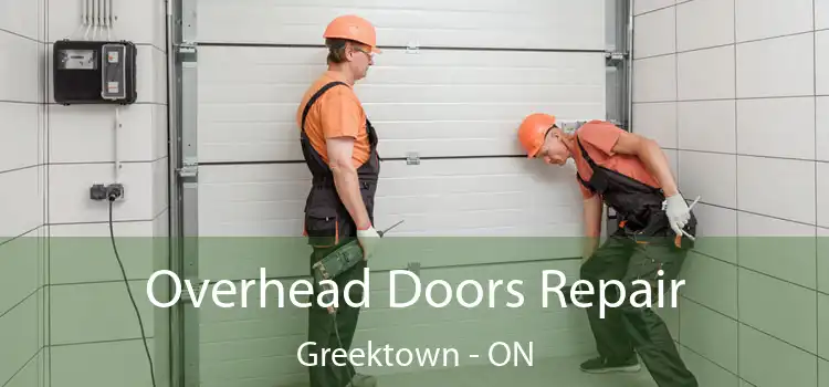  Overhead Doors Repair Greektown - ON