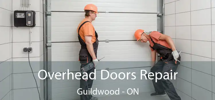  Overhead Doors Repair Guildwood - ON