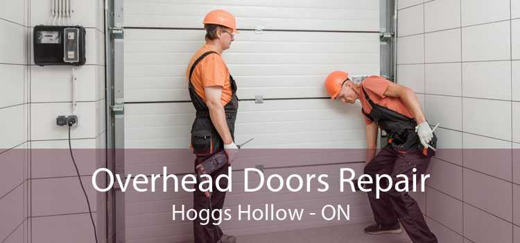 Overhead Doors Repair Hoggs Hollow - ON