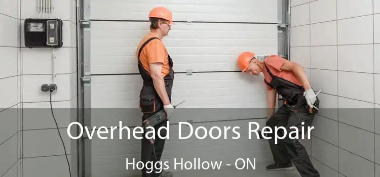 Overhead Doors Repair Hoggs Hollow - ON