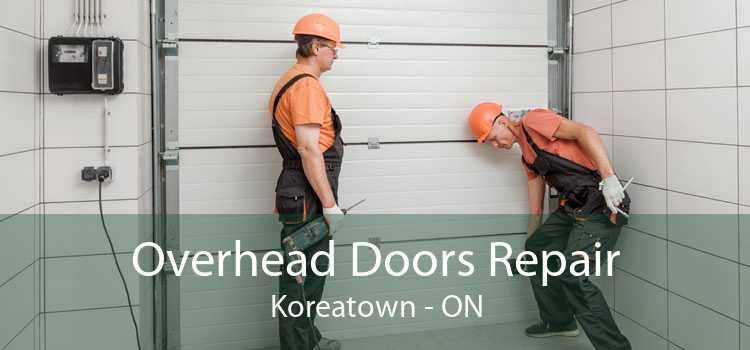 Overhead Doors Repair Koreatown - ON