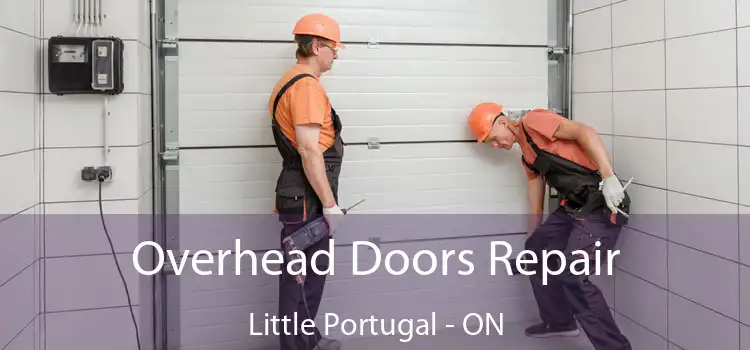  Overhead Doors Repair Little Portugal - ON