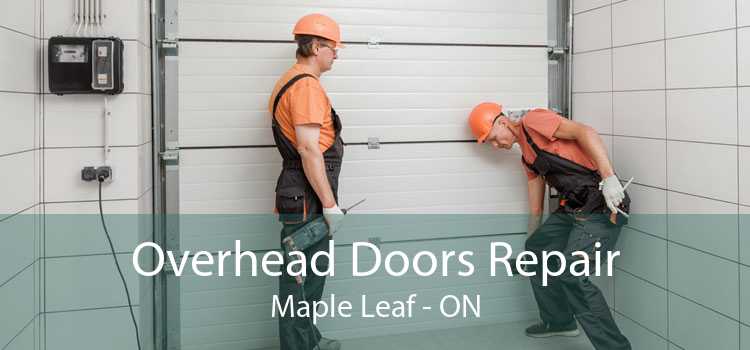 Overhead Doors Repair Maple Leaf - ON