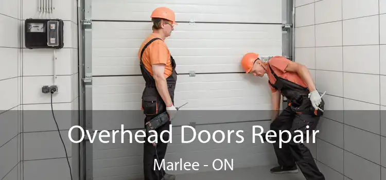  Overhead Doors Repair Marlee - ON