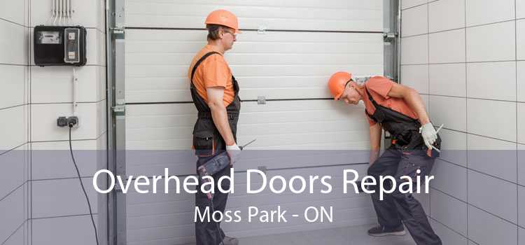 Overhead Doors Repair Moss Park - ON