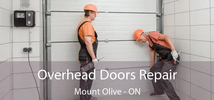  Overhead Doors Repair Mount Olive - ON